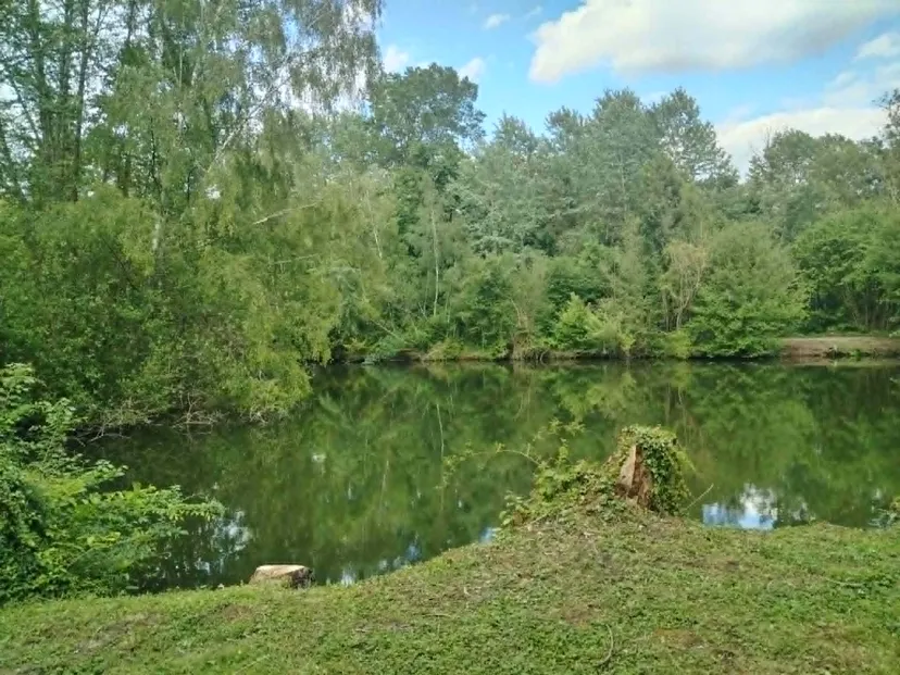 Rustic chalet at the edge of a 1.98 ac somme pond
