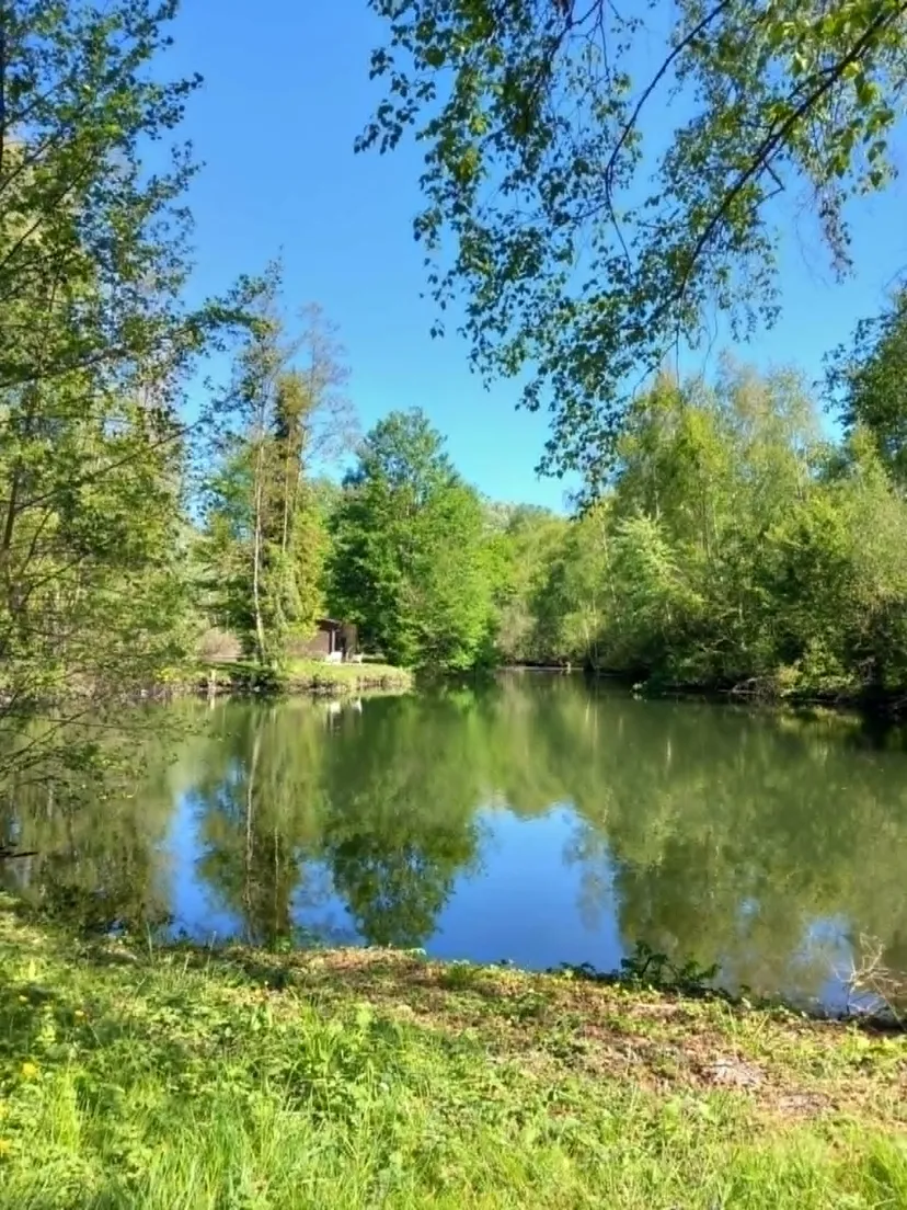 Rustic chalet at the edge of a 1.98 ac somme pond