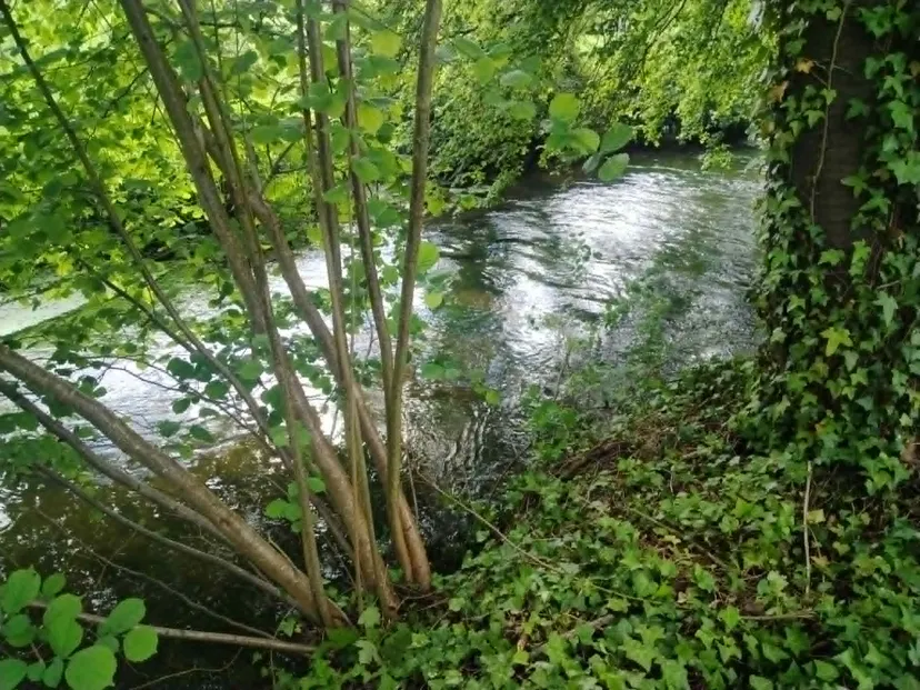 Rustic chalet at the edge of a 1.98 ac somme pond