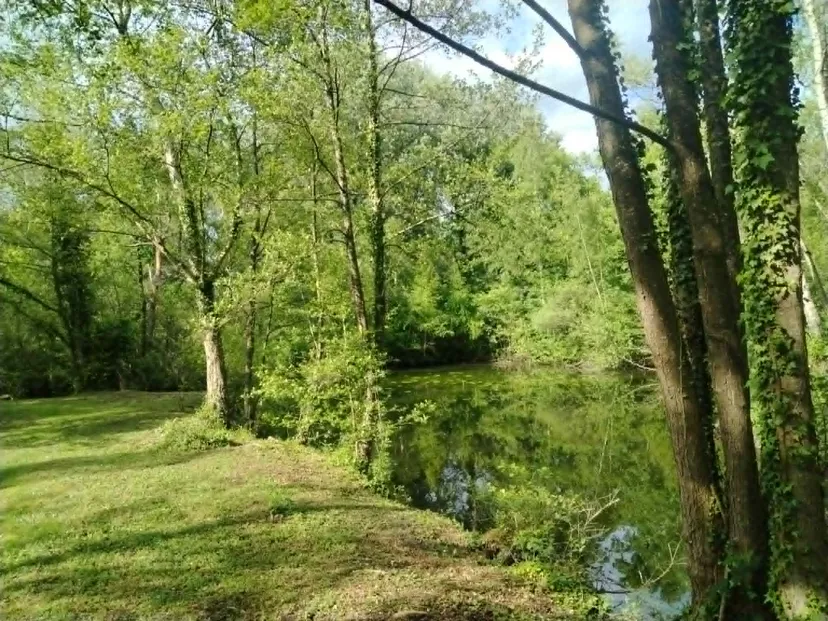 Rustic chalet at the edge of a 1.98 ac somme pond