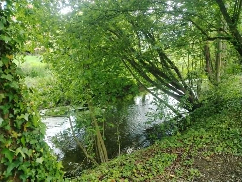 Rustic chalet at the edge of a 1.98 ac somme pond