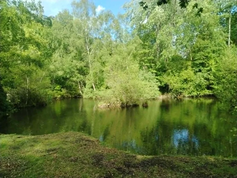Rustic chalet at the edge of a 1.98 ac somme pond