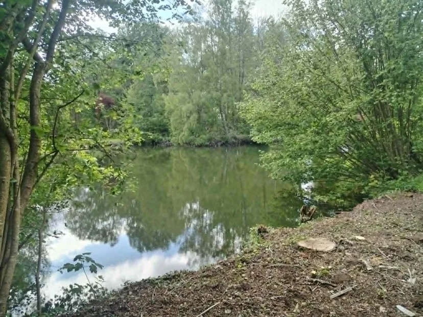 Rustic chalet at the edge of a 1.98 ac somme pond