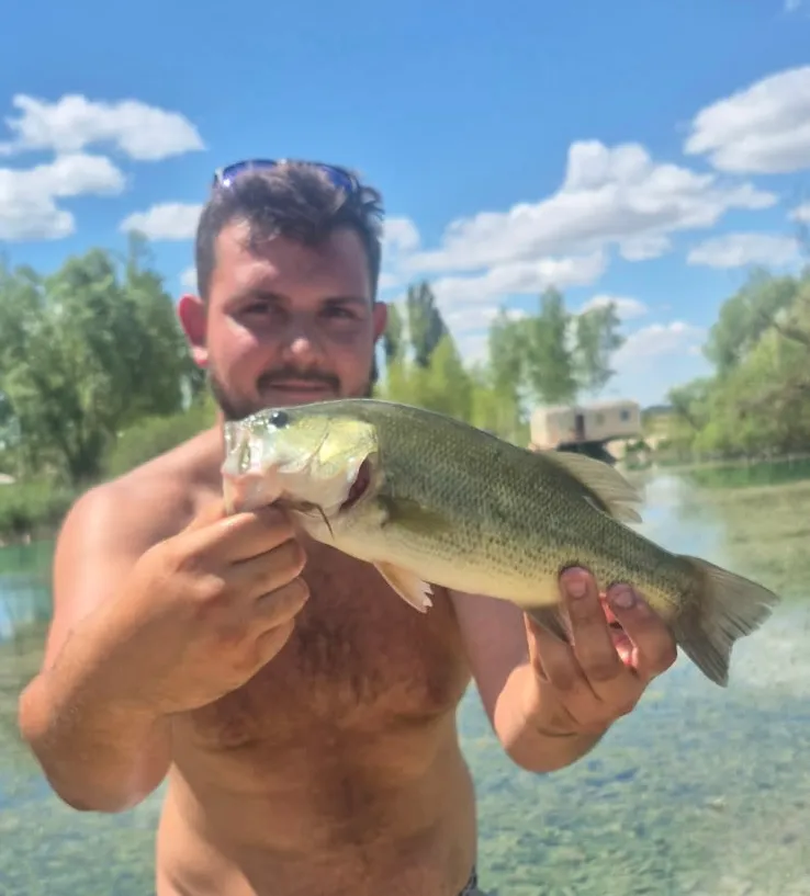 Étang avec yourte aménagée et forte population de poissons !