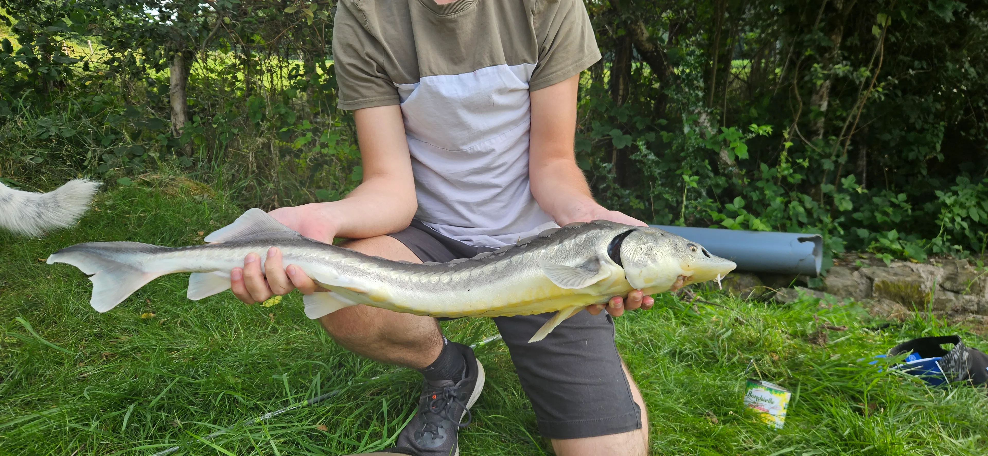 Petit coin de paradis à Fougerolles Saint Valbert en Haute-Saône
