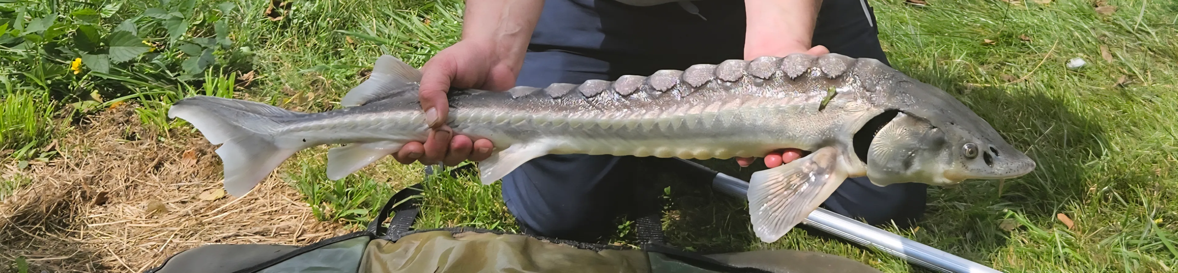 Petit coin de paradis à Fougerolles Saint Valbert en Haute-Saône