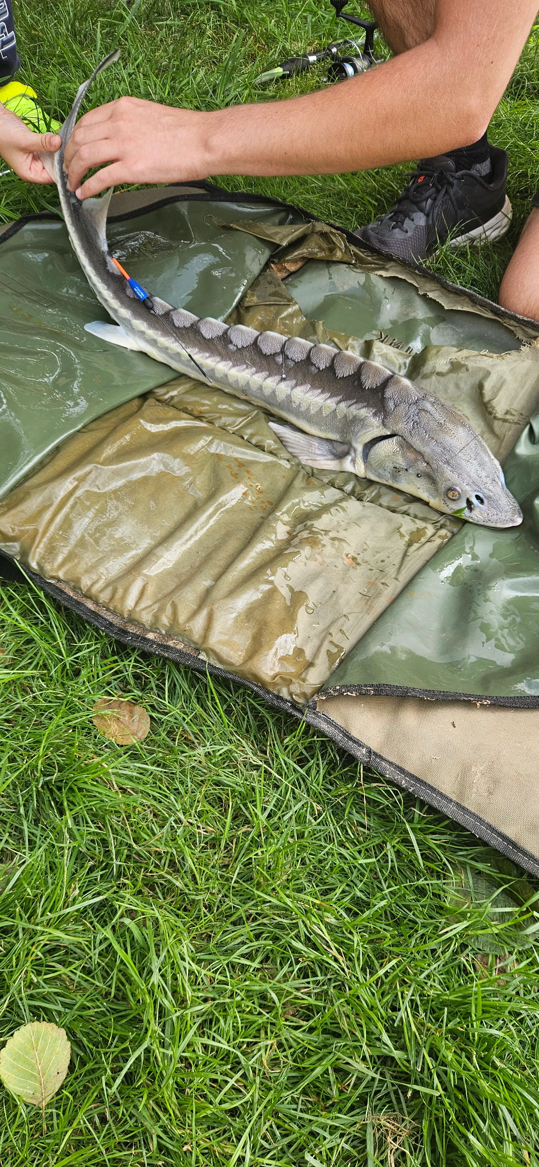 Small corner of paradise in Fougerolles Saint Valbert in Haute-Saône