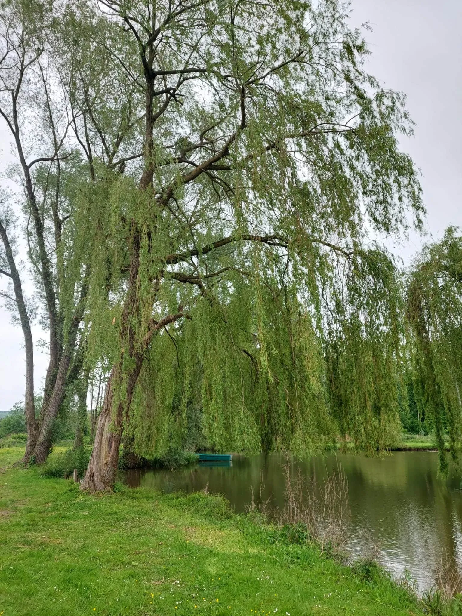Recreational land with its fishing pond