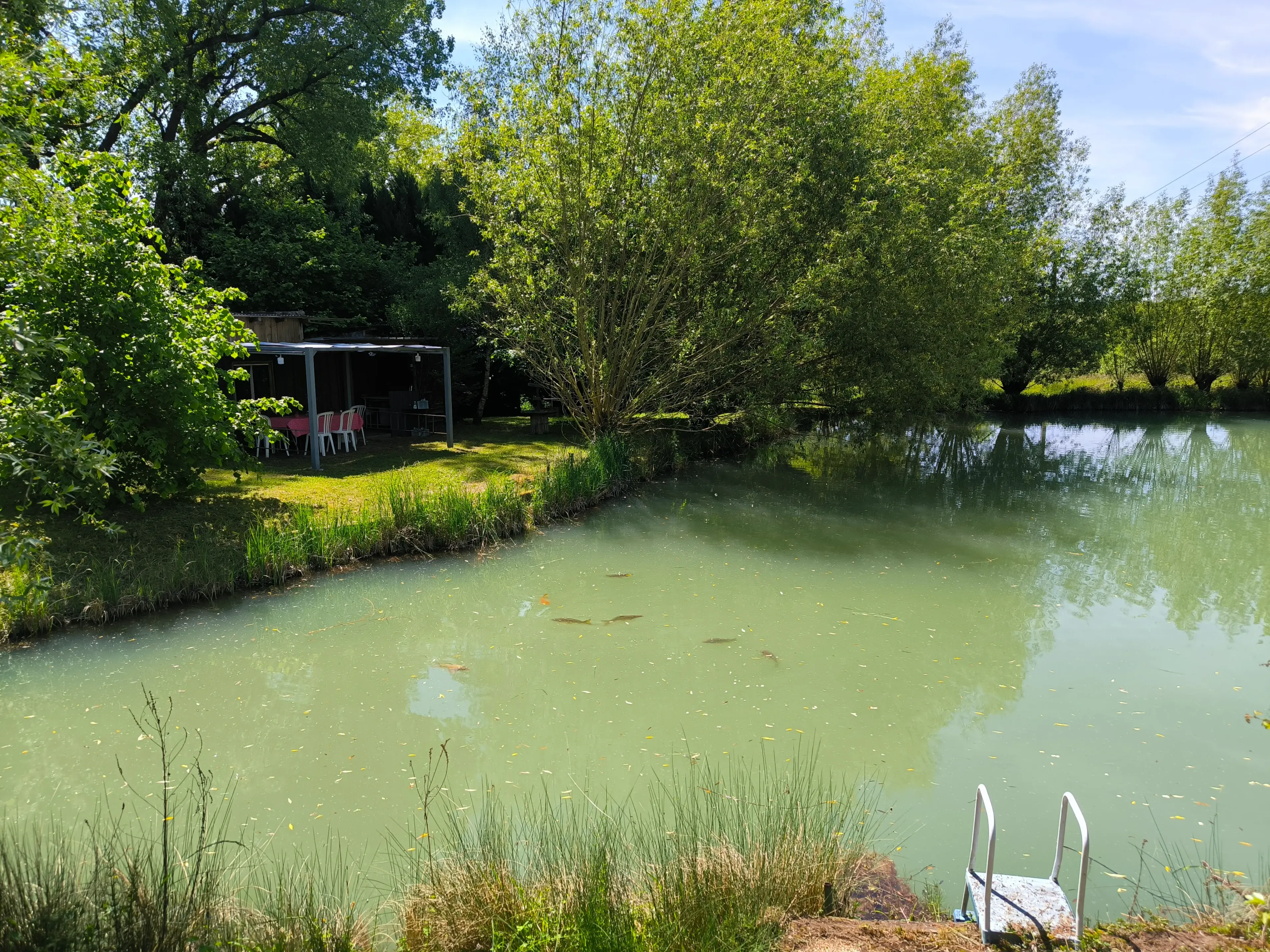 Terrain de loisirs avec etang