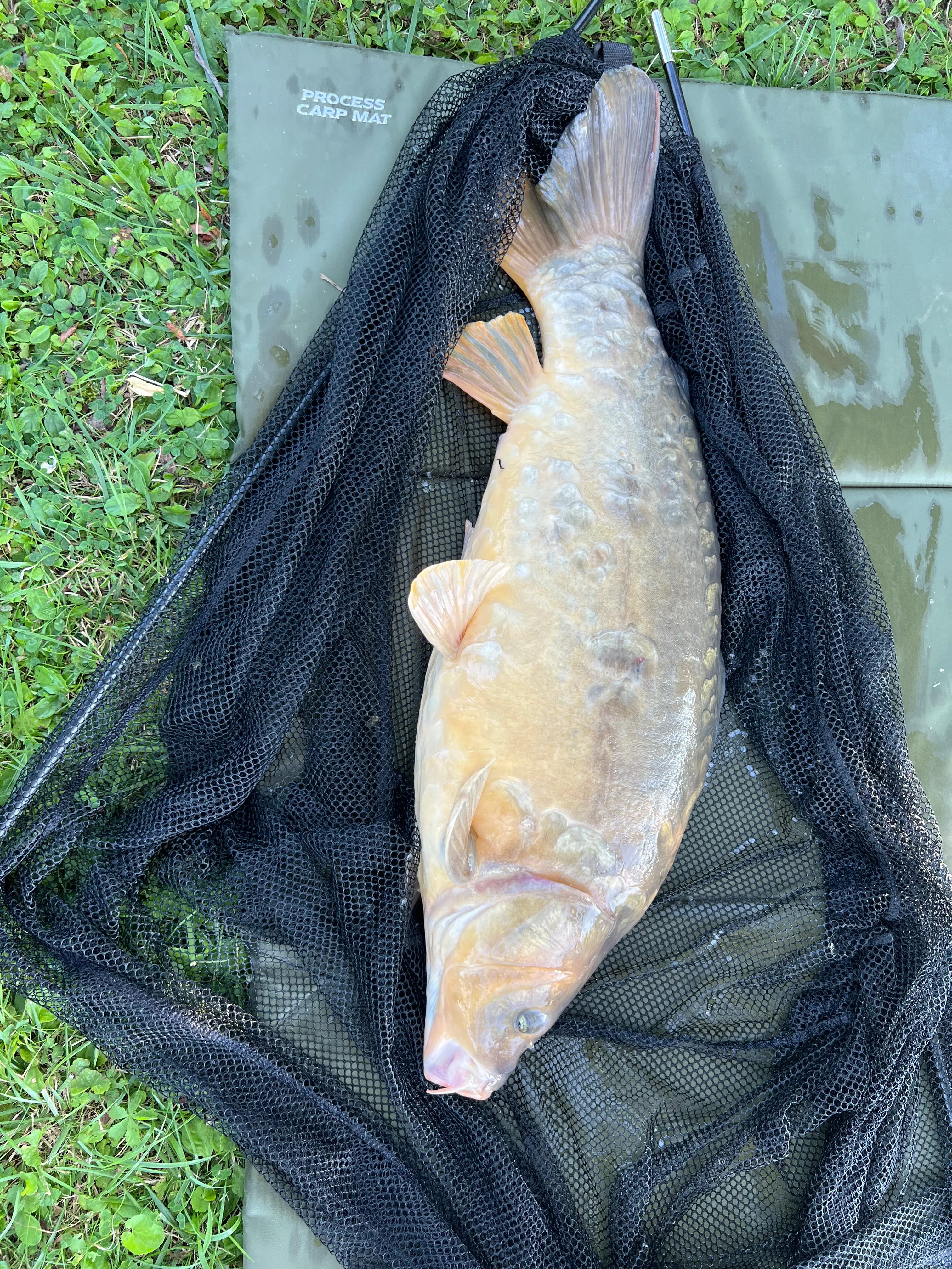 Recreational land with its fishing pond