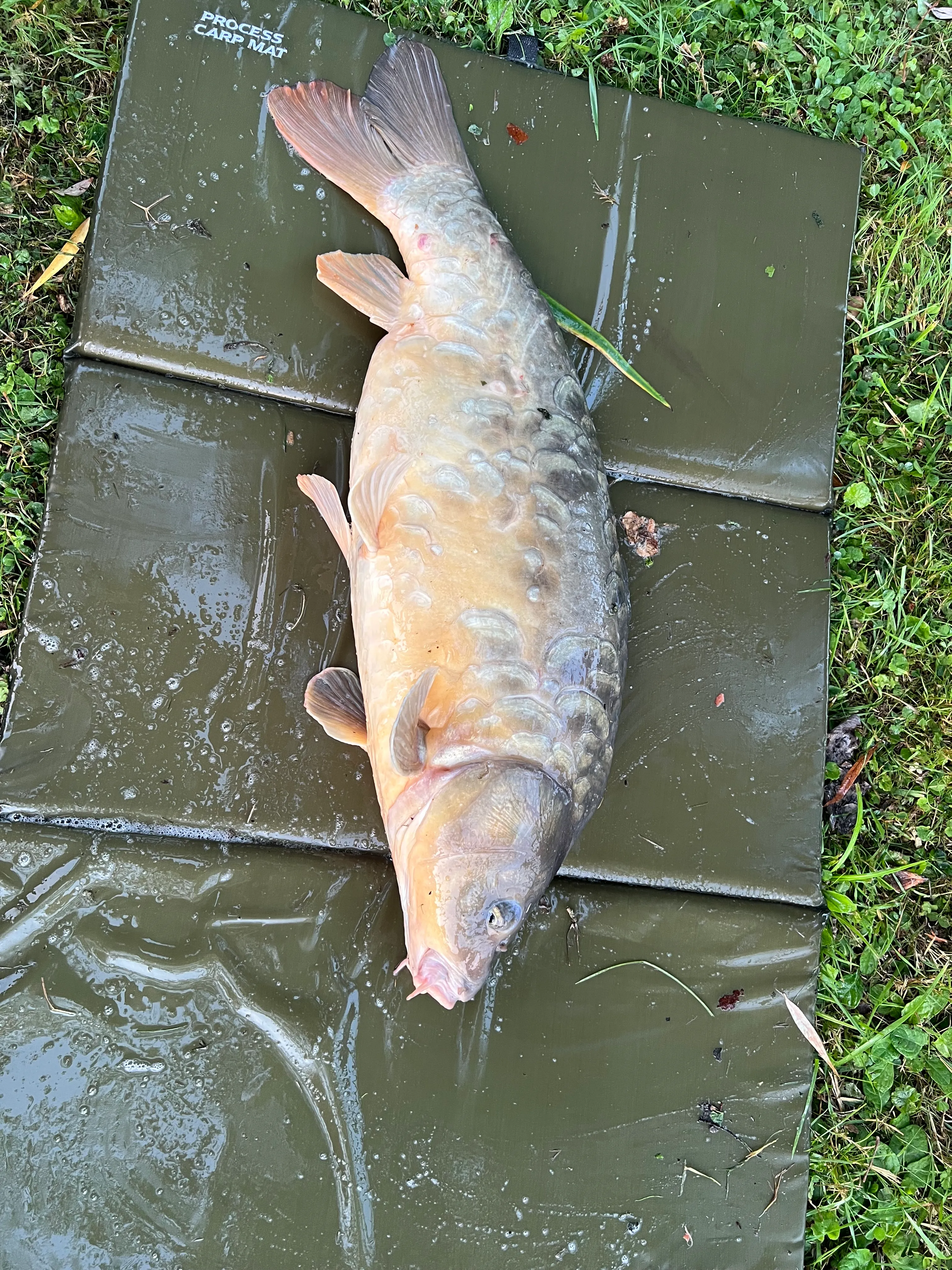 Terrain de loisir avec son étang de pêche