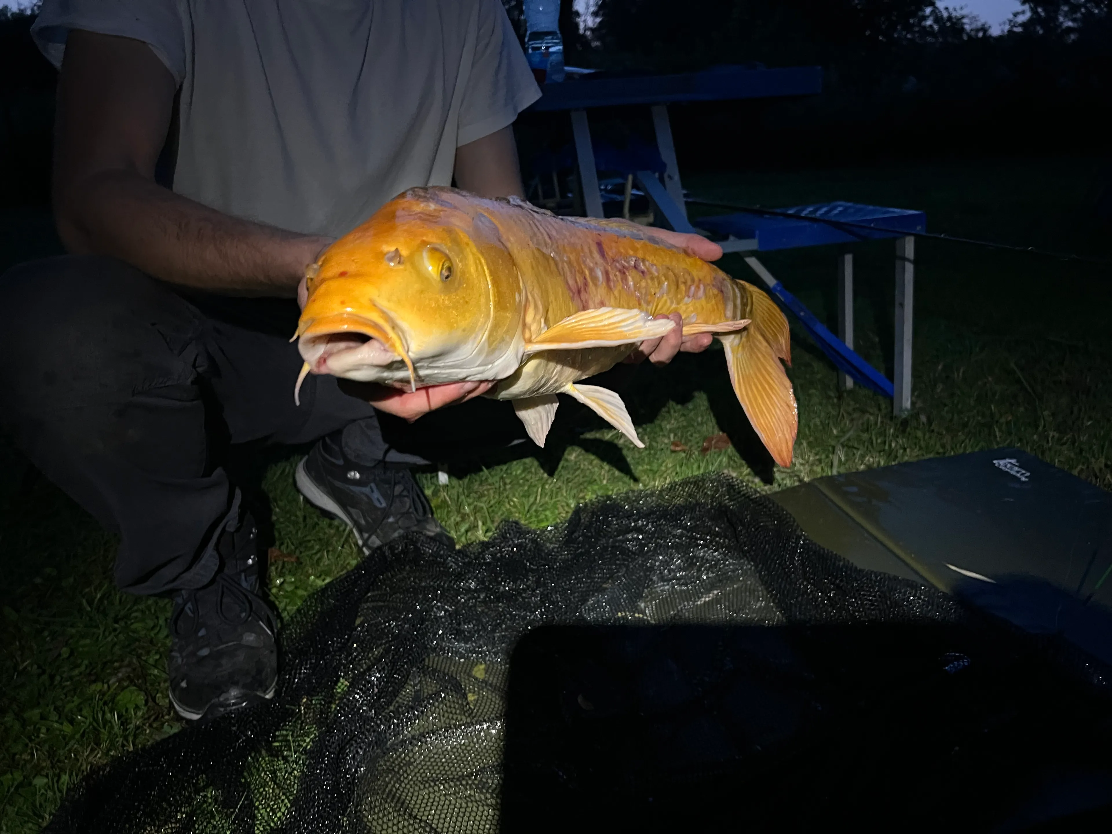 Recreational land with its fishing pond
