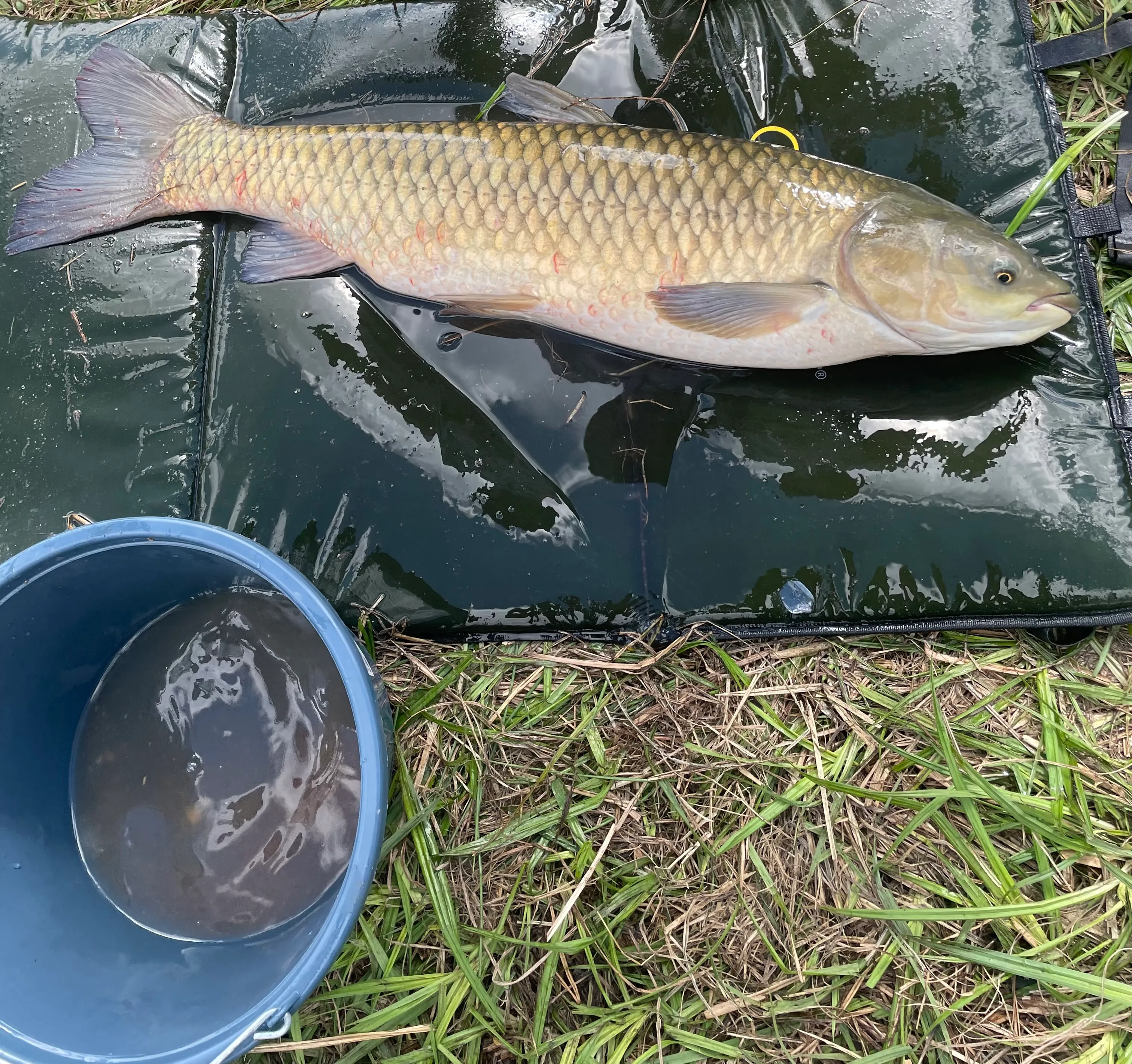 Fishing pond for rent next to Reims