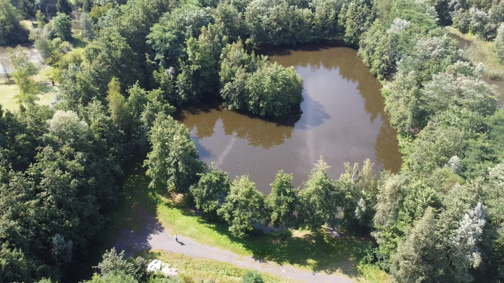 Étang situé à proximité de Lille