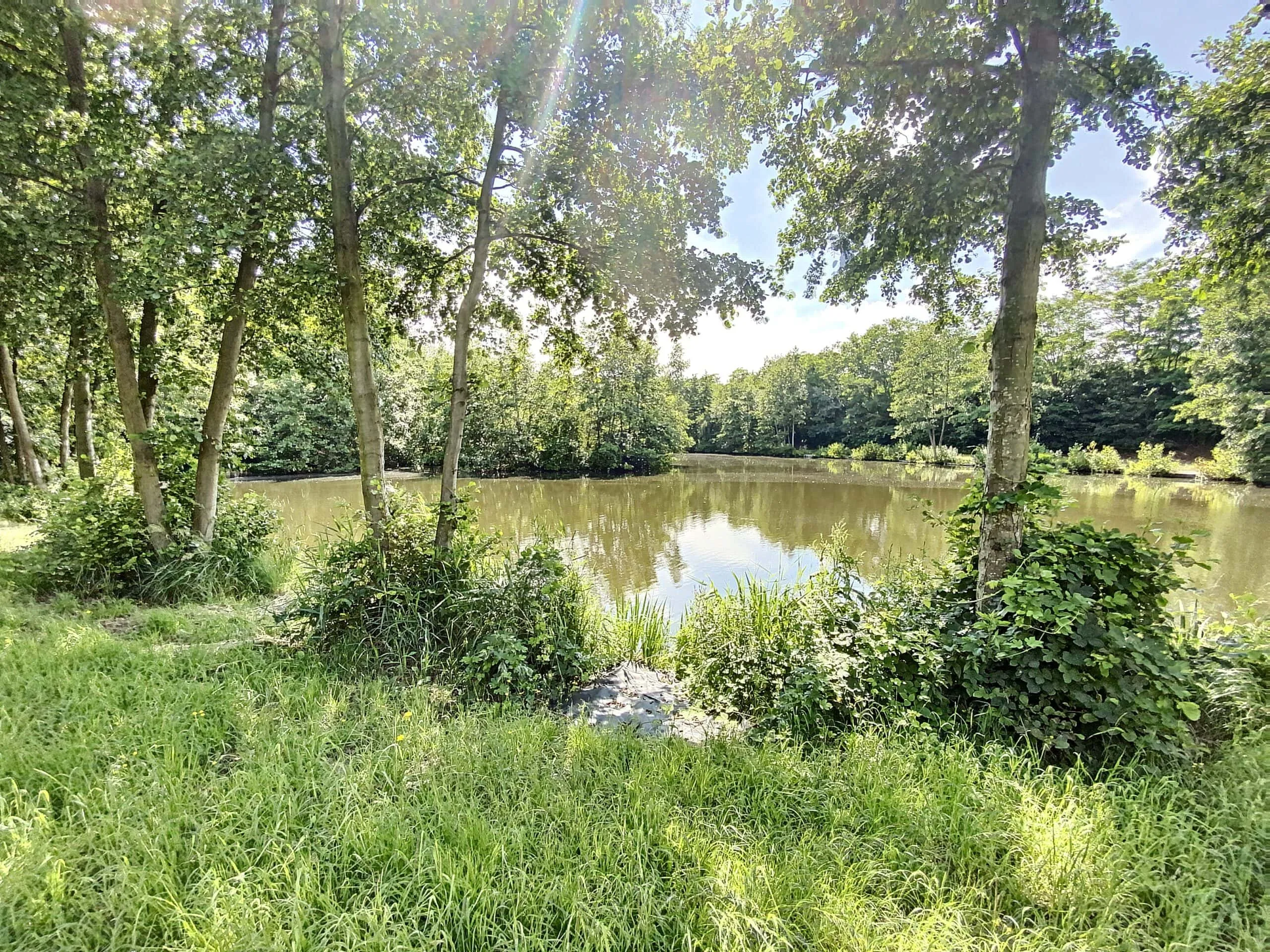 Étang situé à proximité de Lille