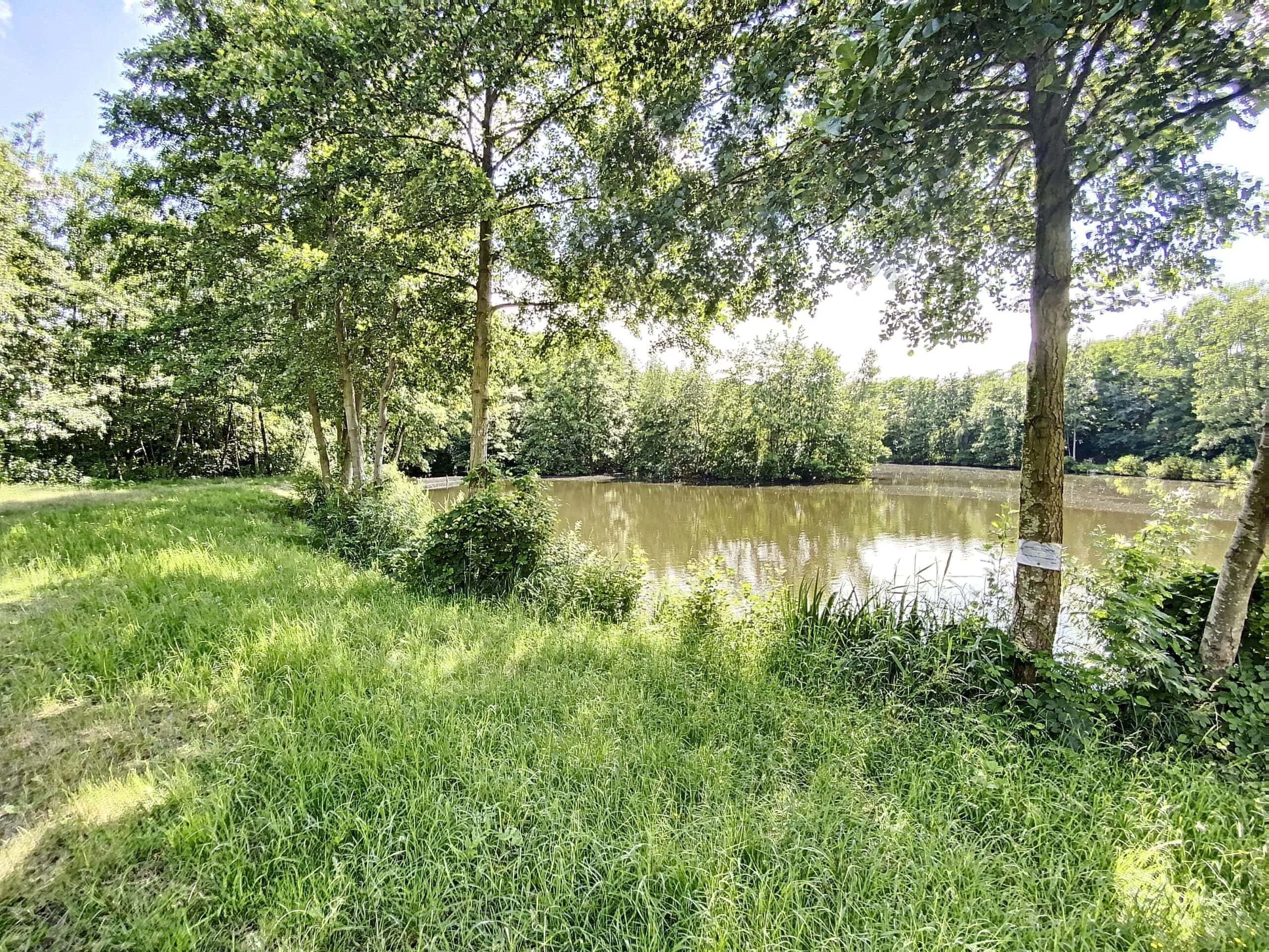 Étang situé à proximité de Lille
