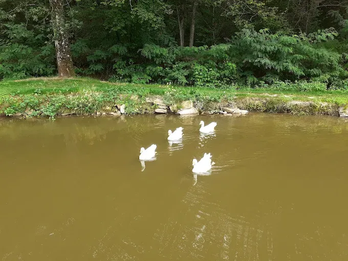Cabane suspendue sur l'eau en Dordogne avec SPA privatif