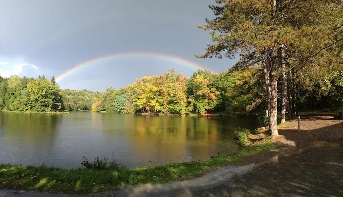 Cabane suspendue sur l'eau en Dordogne avec SPA privatif