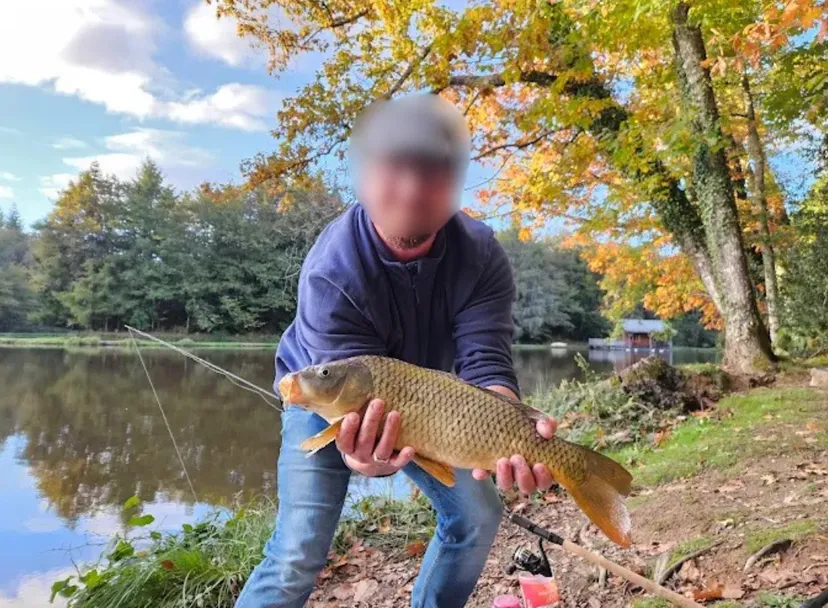 Cabane suspendue sur l'eau en Dordogne avec SPA privatif