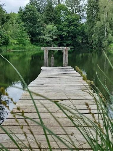 Cabane au bord d'un étang avec jusqu'à 5 couchages en Dordogne