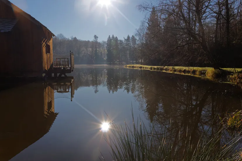 Cabane au bord d'un étang avec jusqu'à 5 couchages en Dordogne