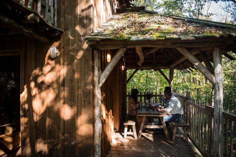Magnifique cabane perchée dans les arbres de 2 à 6 couchages