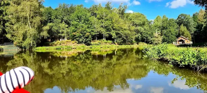 Magnifique cabane perchée dans les arbres de 2 à 6 couchages