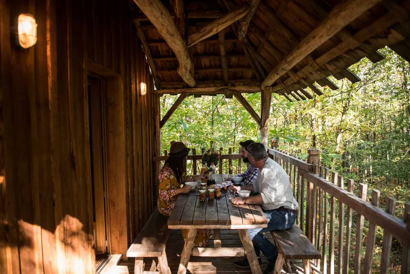 Magnifique cabane perchée dans les arbres de 2 à 6 couchages