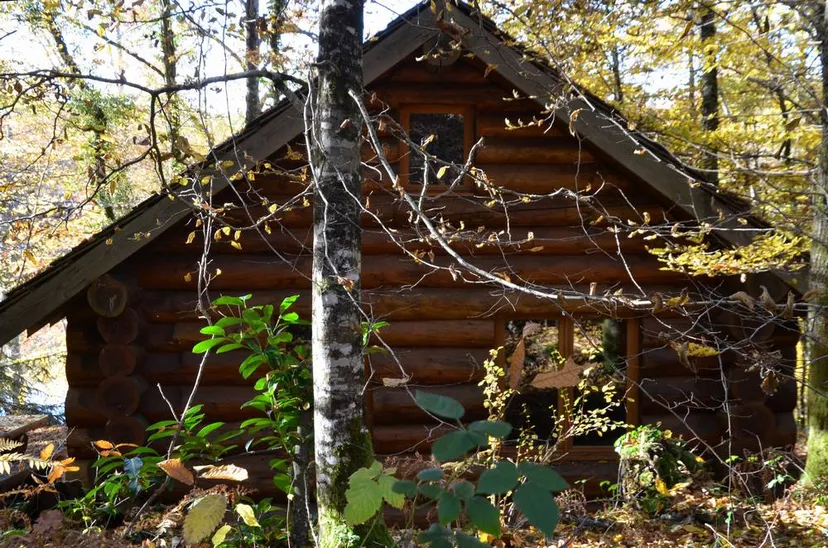 Chalet traditionnel avec vue sur un lac privé en forêt de 4 à 6 personnes