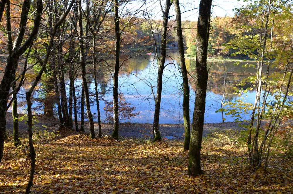 Chalet traditionnel avec vue sur un lac privé en forêt de 4 à 6 personnes