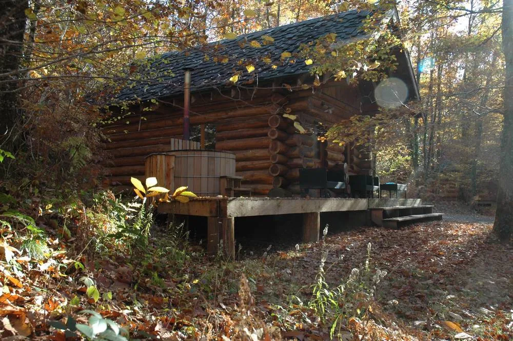 Chalet traditionnel avec vue sur un lac privé en forêt de 4 à 6 personnes
