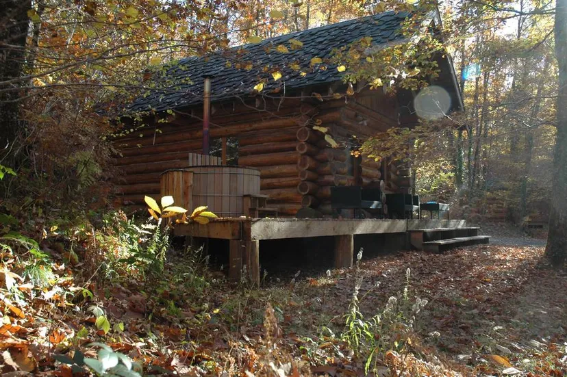 Chalet traditionnel avec vue sur un lac privé en forêt de 4 à 6 personnes