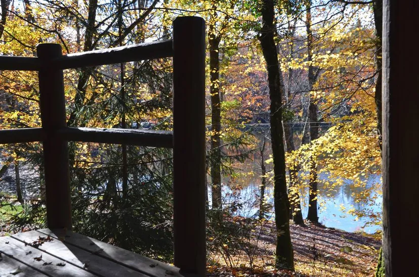 Chalet traditionnel avec vue sur un lac privé en forêt de 4 à 6 personnes