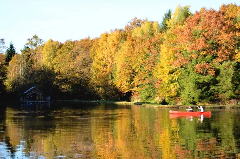 Chalet traditionnel avec vue sur un lac privé en forêt de 4 à 6 personnes
