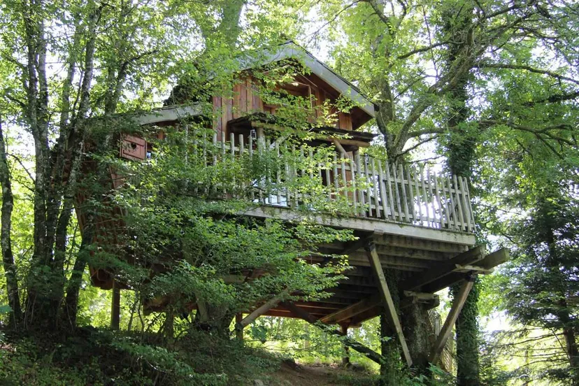 Cabane dans les chênes avec accès à un étang de pêche 4 ha