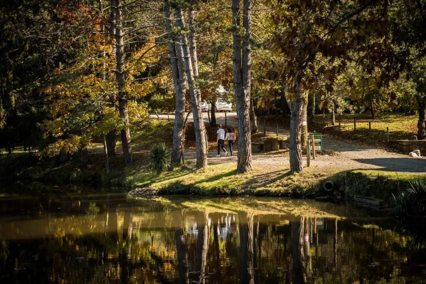 Cabane dans les chênes avec accès à un étang de pêche 4 ha