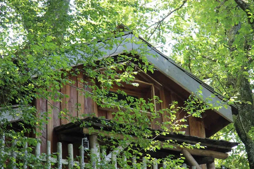 Cabane dans les chênes avec accès à un étang de pêche 4 ha