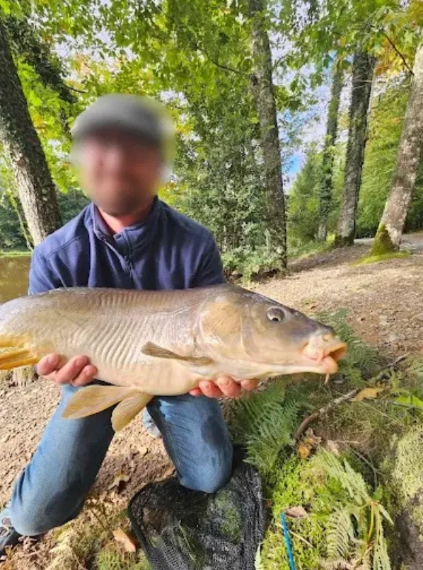 Cabane dans les chênes avec accès à un étang de pêche 4 ha