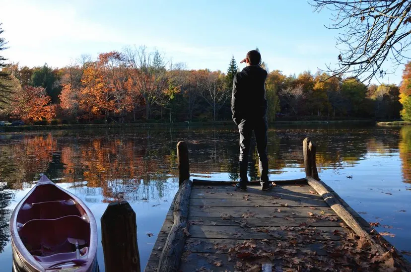 Cabane dans les chênes avec accès à un étang de pêche 4 ha