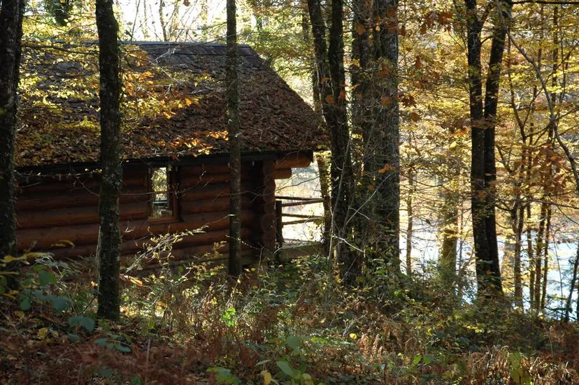 Cabane dans les chênes avec accès à un étang de pêche 4 ha
