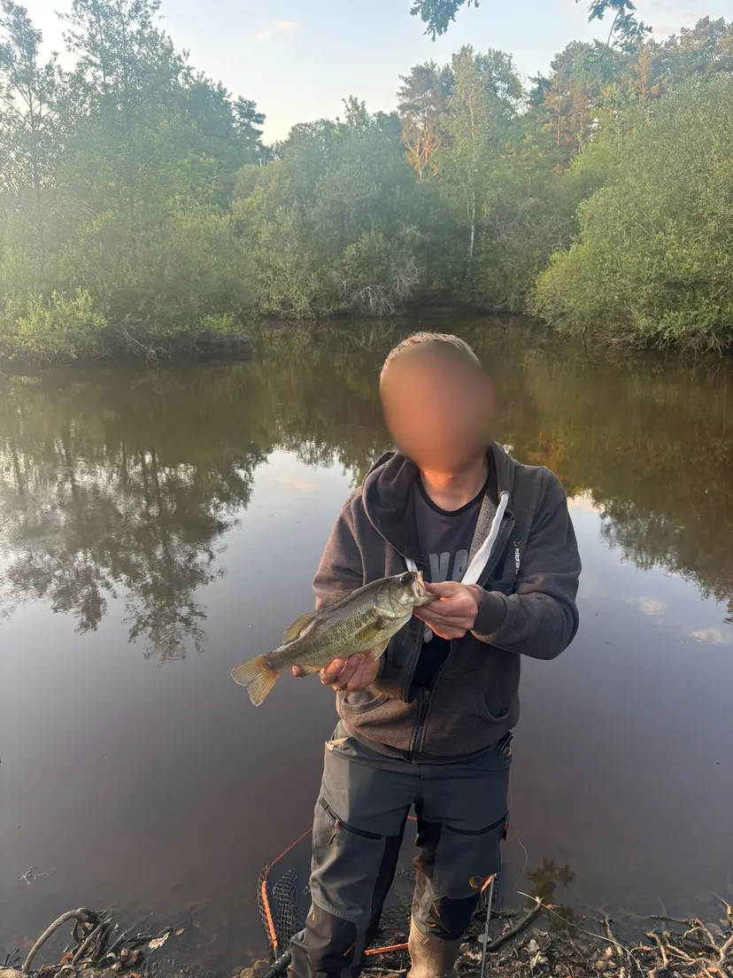 Lodge de luxe en pleine nature au bord d'un étang