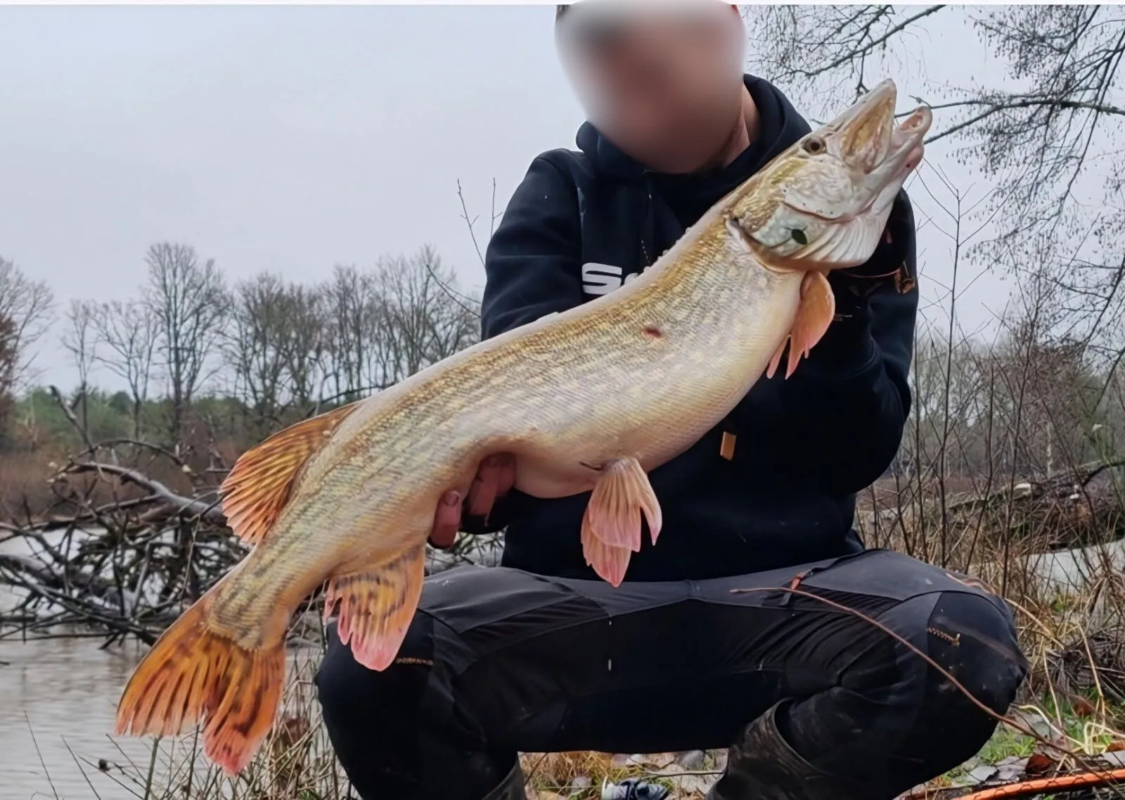 Nature, pêche et golf : votre lodge haut de gamme sur domaine exclusif