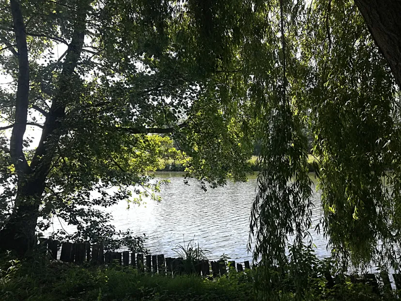 Chalet au bord du Loir, accès direct à la rivière