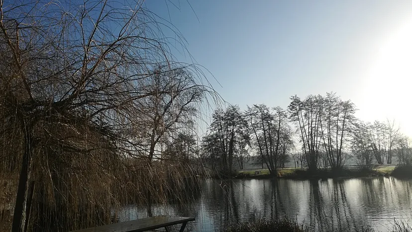 Chalet au bord du Loir, accès direct à la rivière