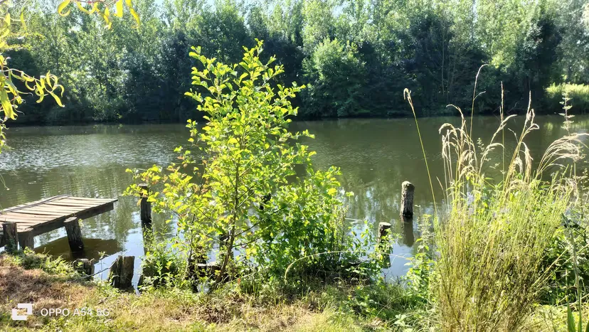Gite en bordure de rivière, au bord de l'eau