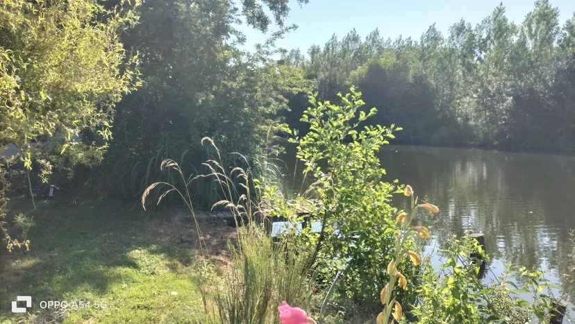 Gite en bordure de rivière, au bord de l'eau