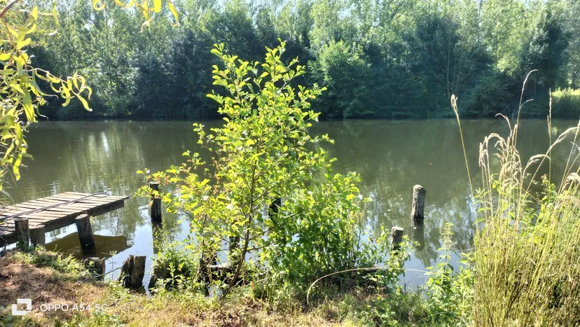 Gite en bordure de rivière, au bord de l'eau
