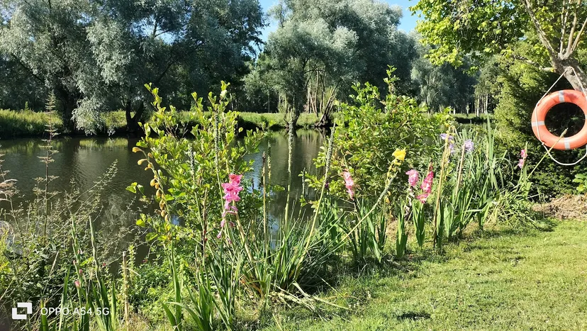 Gite en bordure de rivière, au bord de l'eau