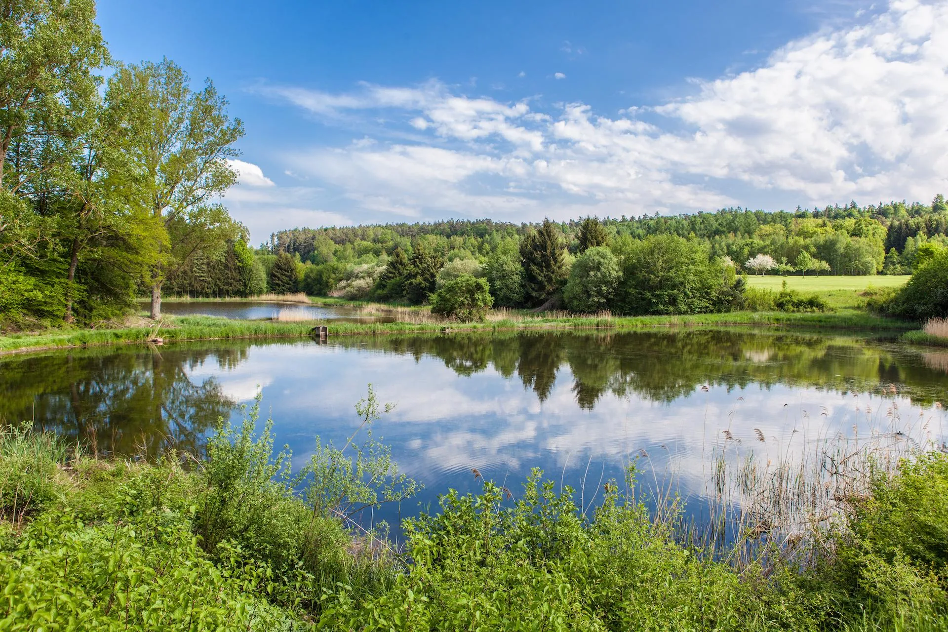 Location grand gite dans les Dombes dans le parc d'un château avec étang à proximité - MR
