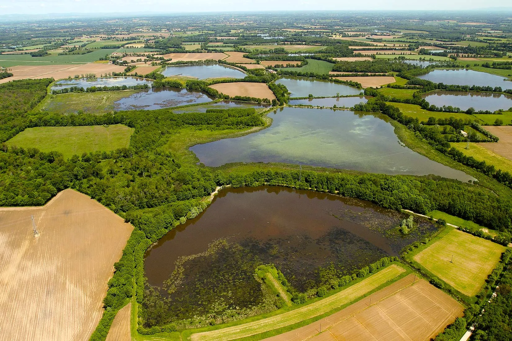 Location grand gite dans les Dombes dans le parc d'un château avec étang à proximité - MR